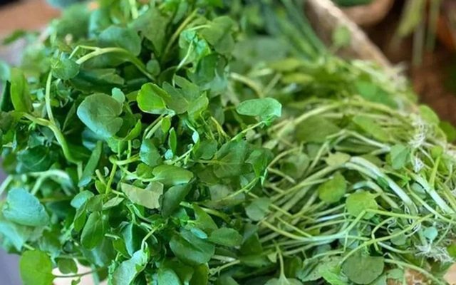 4 loại rau dân dã ở Việt Nam được ví bổ như sâm