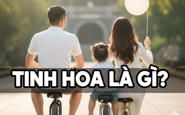 Cách định nghĩa 'tinh hoa' tiết lộ nhiều điều về bạn