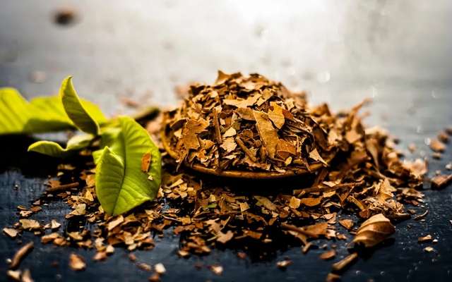 Chỉ 3 bước biến loại lá "cho không ai lấy" thành mặt hàng hot, người dân thu trăm triệu/năm