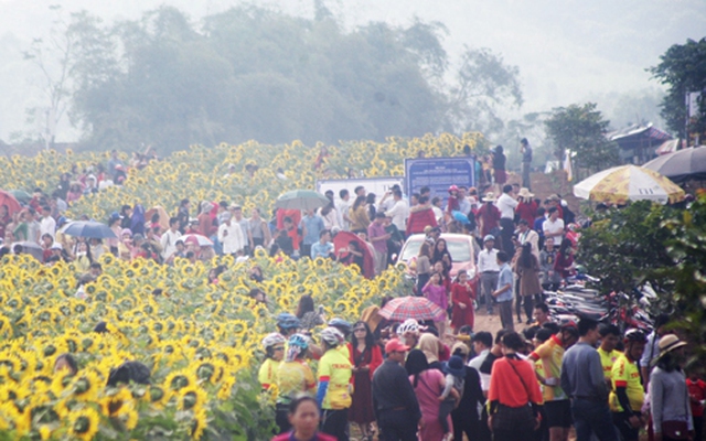 Nơi được quan tâm nhất lúc này ở Nghệ An: Cảnh như nước ngoài, mở cửa miễn phí nhưng có lưu ý đặc biệt