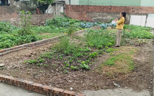 Từ 1/1/2026, chính thức giảm 70% tiền chuyển đất nông nghiệp lên đất thổ, người dân cần chú ý