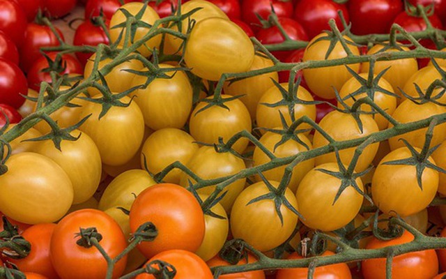 Loại cà chua này giúp chống 6 loại ung thư, nhưng ăn sai cách chẳng khác nào “tự hại thân”, thèm mấy cũng nên tránh