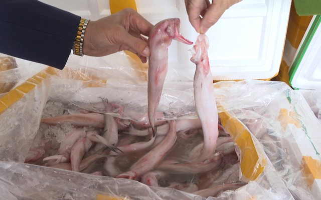 Cách nhận biết cá ngâm hoá chất formol nguy hiểm: Đơn giản nhưng nhiều người bỏ qua từ đầu