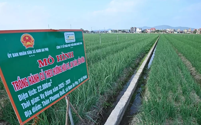 Đề xuất quảng bá, tiêu thụ nông sản qua ứng dụng AI