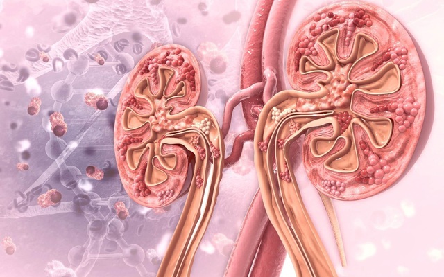 6 cách đào thải axit uric tự nhiên nhưng không phải ai cũng biết: Hỗ trợ phòng gout và bảo vệ thận