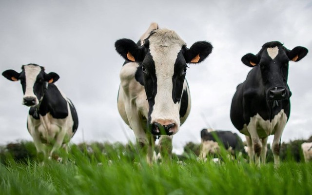 Trung Quốc ‘trả đũa’