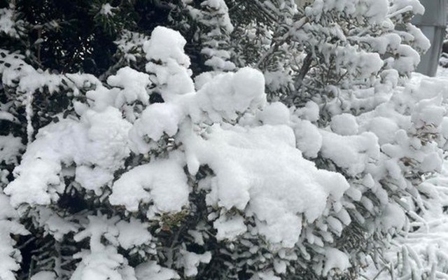 Nơi vừa có tuyết rơi hiếm có sau gần 20 năm!