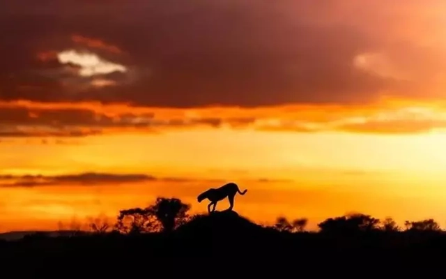 Bộ ảnh hoàng hôn hé lộ vẻ đẹp bí ẩn của thế giới hoang dã