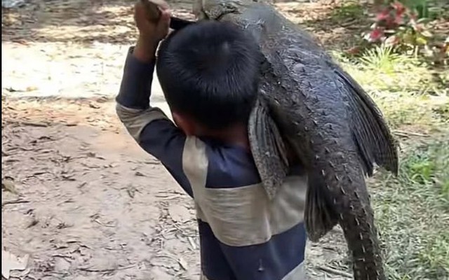 Cậu bé 5 tuổi gồng mình vác con "thủy quái" nặng trĩu đi khắp làng, ai nhìn cũng giật mình