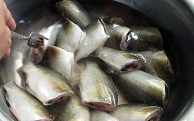 Ăn cá theo cách này, nhiều người bị tổn thương gan: Bác sĩ cảnh báo