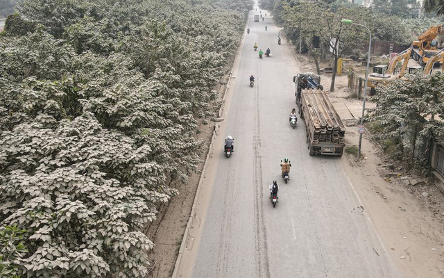 'Bão bụi' bao phủ đường cửa ngõ Hà Nội, cây cối chuyển màu trắng xóa