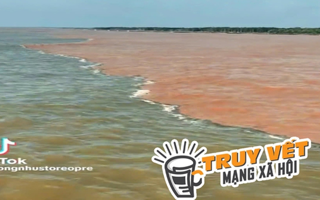 "Giải mã" hiện tượng nước có màu xanh và nâu đỏ ở ven biển Cà Mau