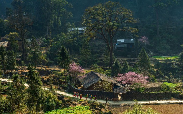 Tuyên Quang được vinh danh "Điểm đến văn hóa khu vực hàng đầu thế giới 2025" tại World Travel Awards