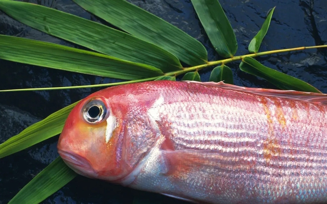 10 loại cá thấm đẫm thủy ngân hàng top: Thủ phạm "phá thận", suy giảm trí tuệ nhưng nhiều người Việt rất mê