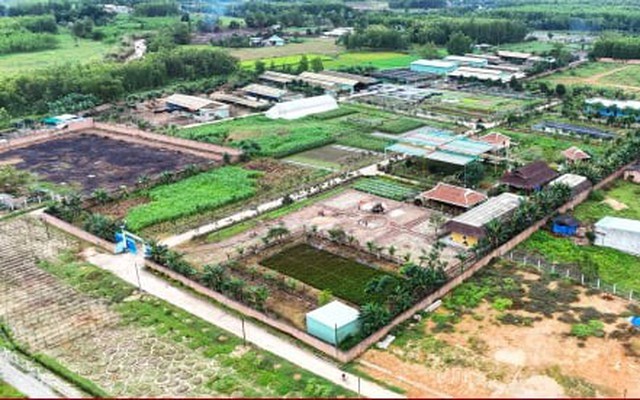 Cận cảnh dự án sản xuất rau an toàn trái phép tại Bình Định