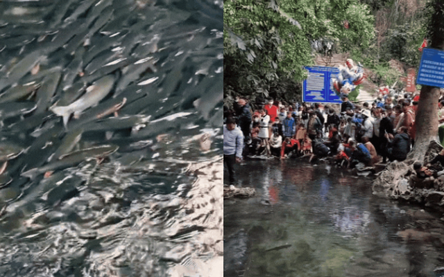 Hàng vạn người đổ về suối cá thần ở Thanh Hóa đầu năm mới bởi sức hút từ những câu chuyện huyền bí