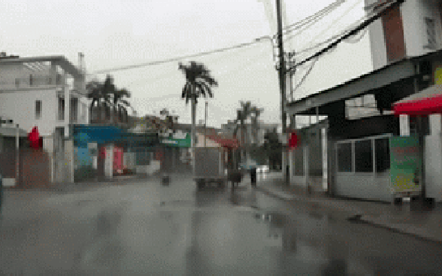 Kinh hoàng trâu "điên" rượt đuổi, húc văng hai học sinh đang trên đường đi học ở Quảng Ninh