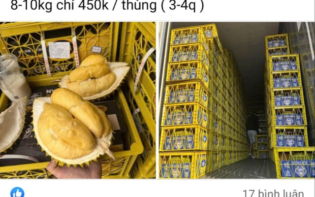 Thực hư “giải cứu” sầu riêng giá siêu rẻ