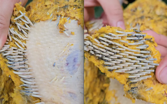 Cô gái nhổ lông vịt thôi nhưng dân mạng lại "nổi da gà" khi chứng kiến cảnh tượng này