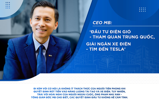 CEO MB: 'Đầu tư điện gió - tham quan Trung Quốc, giải ngân xe điện - tìm đến Tesla'