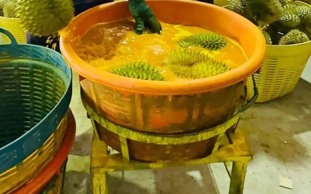 Bị Trung Quốc trả về 60 tấn sầu riêng nhiễm hoá chất, Thái Lan lập tức hành động