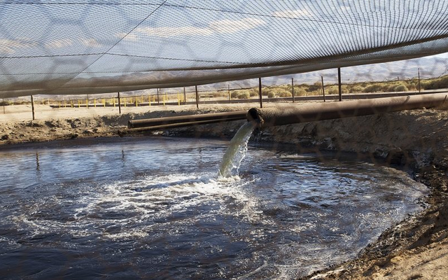 Phát hiện kho báu quý hơn vàng trị giá 1,2 tỷ đồng ẩn trong giếng nước thải