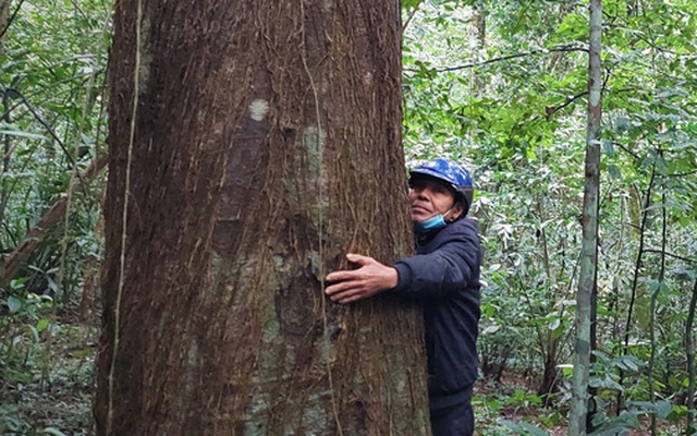 Chuyện lạ: Người đàn ông có tên được đặt cho loài thực vật mới ở Quảng Trị