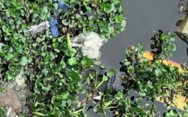 Cháu nội thuê người sát hại bà ở Hưng Yên: Không đơn thuần là vụ án mạng