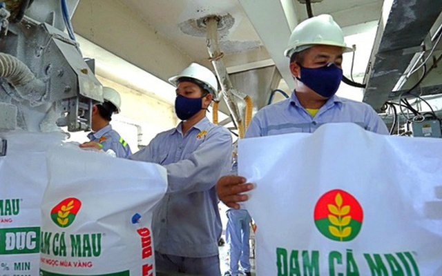 Đạm Cà Mau chi lương thưởng "khủng": Sếp nhận 2,5 tỷ/năm, nhân viên trung bình nhận hơn 55 triệu/tháng