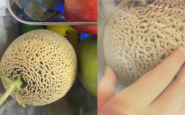 Quả dưa lưới trông như tổ chấy, nhìn đã rùng mình nghe giá còn tá hỏa hơn