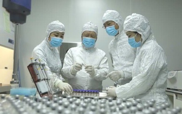 Philippines muốn mua vắc xin phòng tả lợn từ Việt Nam, một tập đoàn chăn nuôi doanh thu hơn 13.500 tỷ có thể hưởng lợi