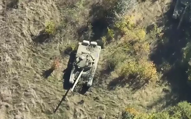 Cuộc chiến của mồi nhử