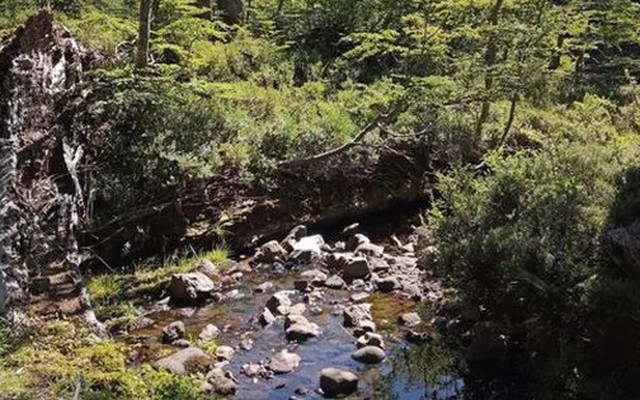 Loài vật quý hiếm bậc nhất thế giới, tuyệt tích hơn 120 năm bất ngờ "tái xuất"