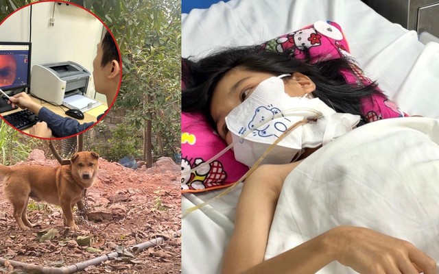 Đang ăn cơm, bố mẹ sốc khi thấy cổ con gái thủng lỗ, tức tốc đưa đi cấp cứu