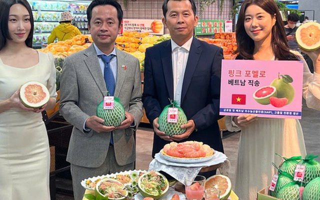 Bất ngờ giá bưởi Việt Nam bán trên kệ siêu thị Hàn Quốc