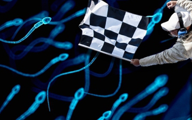 Nhóm triệu phú Mỹ livestream cuộc đua tinh trùng đầu tiên trên thế giới