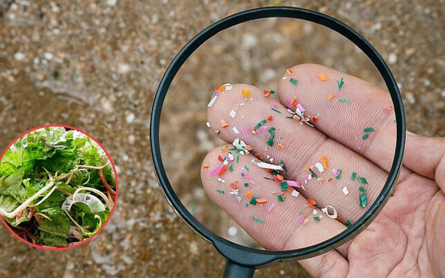 Loại rau là 'biểu tượng của ăn uống sạch và lành mạnh' nhưng nguy cơ cao nhiễm vi nhựa: Cần làm gì?