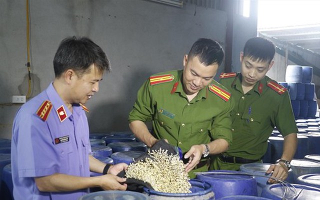 Vụ 3.500 tấn giá đỗ 'ngậm' chất cấm: Ai chịu trách nhiệm?