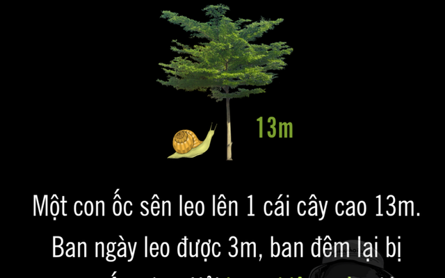 Ốc sên mất bao nhiêu ngày để leo hết cái cây 13m?