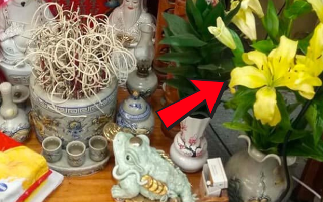 ĐỪNG dại đặt 5 loài hoa này lên bàn thờ, dân gian kỵ vì dễ rước xui vào nhà, "mất lộc" lúc nào không hay