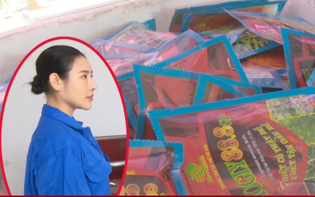 Nữ quái đất Mỏ sản xuất hơn 66.000 gói thuốc diệt cỏ giả bằng hạt nêm