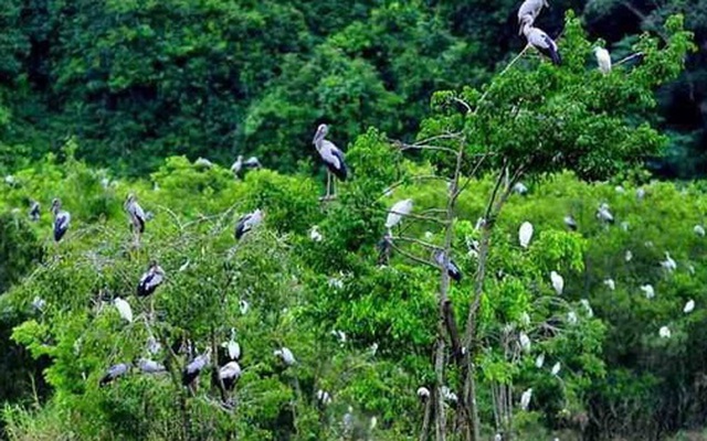 Khu Bảo tồn thiên nhiên Xuân Liên chính thức trở thành Vườn Quốc gia