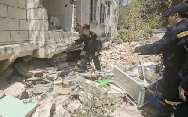 VIDEO: Nhiệm vụ đặc biệt của bộ đôi cảnh khuyển trong đoàn cứu hộ Việt Nam tại Myanmar