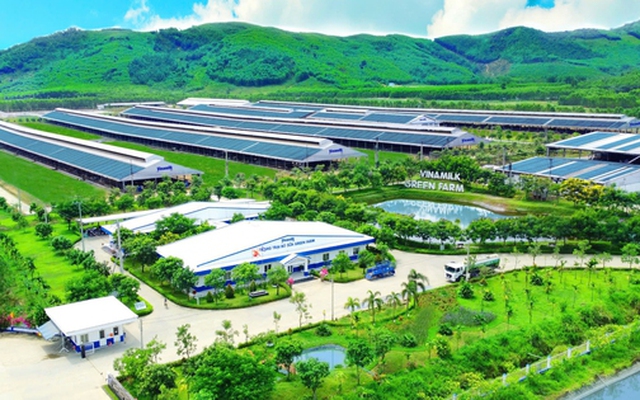 Những thương hiệu đi cùng năm tháng