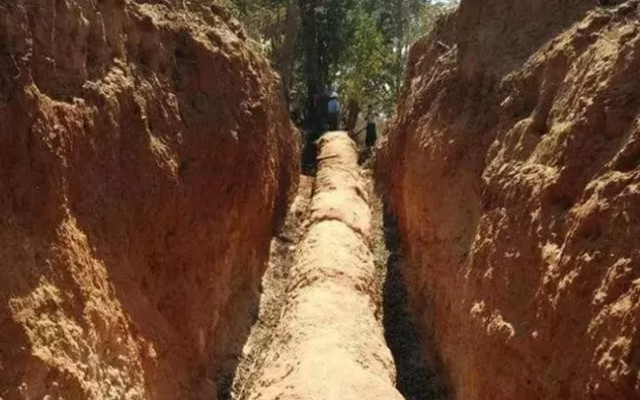 Công trường dừng thi công khẩn cấp vì phát hiện cây gỗ dài 30,5m, “cứng như đá” : Chuyên gia khẳng định "kho báu" này không dưới 503 tỷ đồng