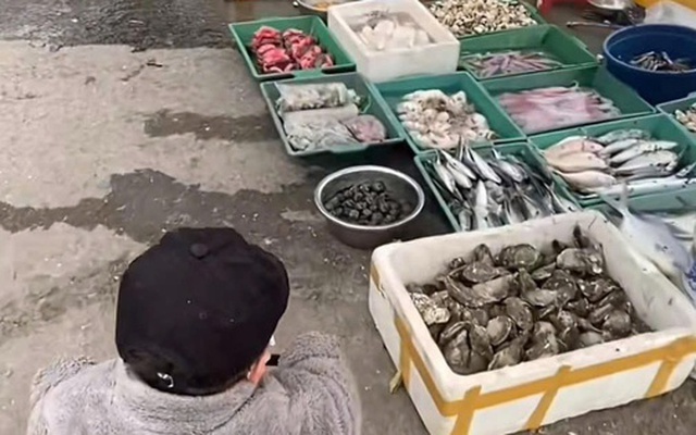 Con muốn đi thủy cung, mẹ đưa đến nơi không ai ngờ, người chê "thế hệ cợt nhả làm mẹ", người khen "dạy con hay"