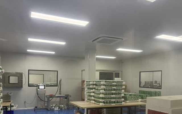 Bên trong nhà máy sản xuất kẹo rau củ khiến Quang Linh Vlogs, Hằng Du Mục bị bắt