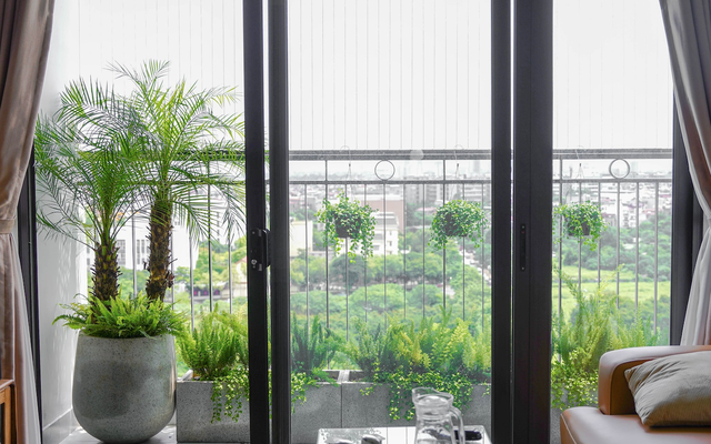 NASA khuyên hãy trồng cây này trong nhà: Giúp loại bỏ chất độc mà WHO cảnh báo gây ung thư hàng đầu