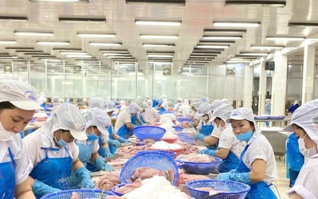 Nước nào tiêu thụ cá tra Việt Nam lớn nhất thế giới?