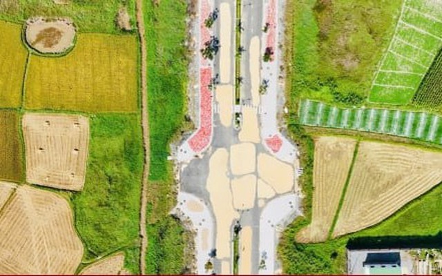 Đường hơn 34 tỷ nối Quốc lộ 1A ra giữa đồng, làm xong chỉ để phơi nông sản